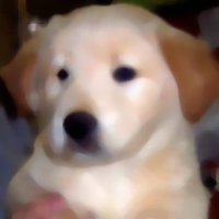Median Blur Example